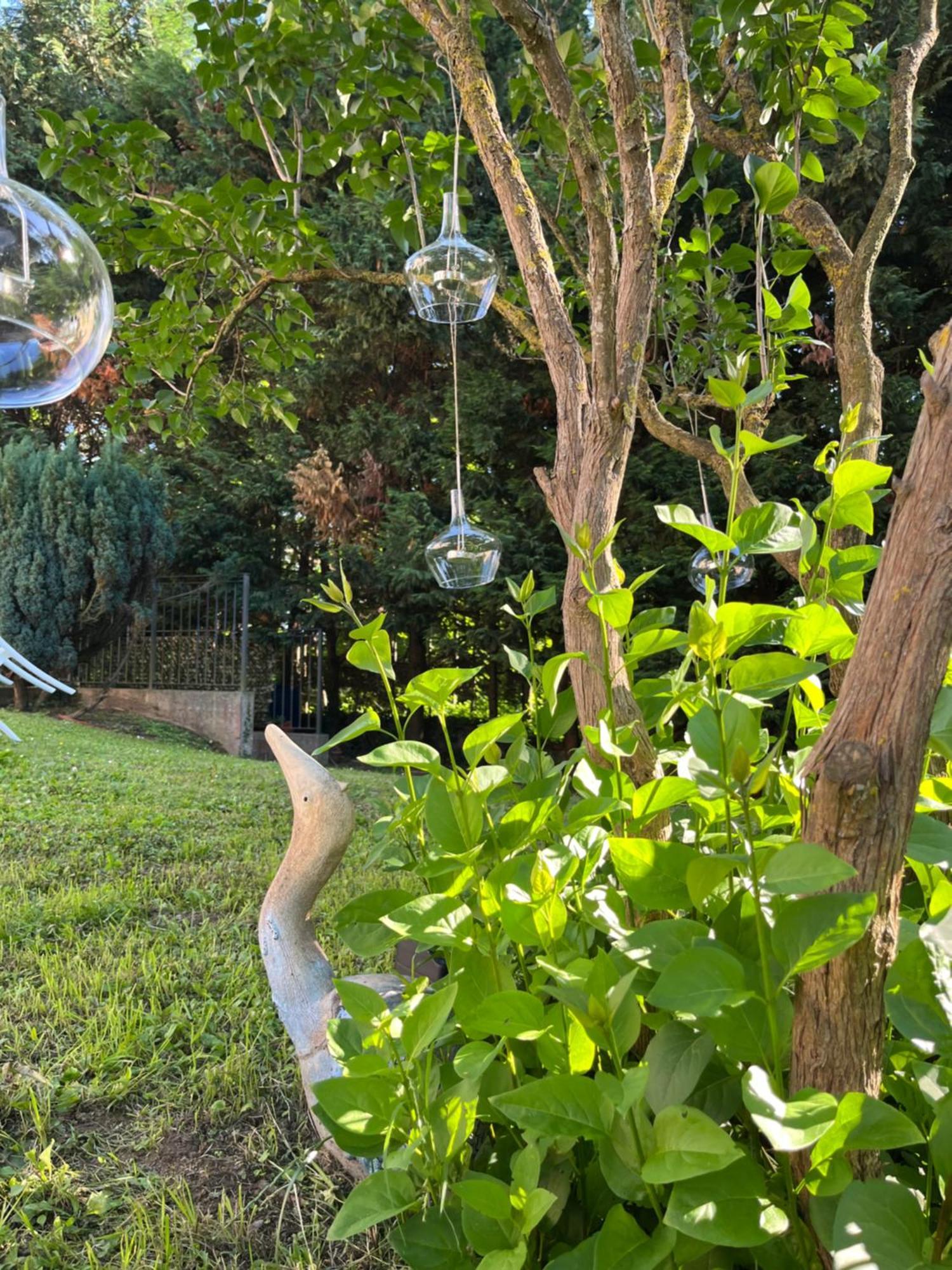 B&B Villa Degli Aceri Carcare Kültér fotó